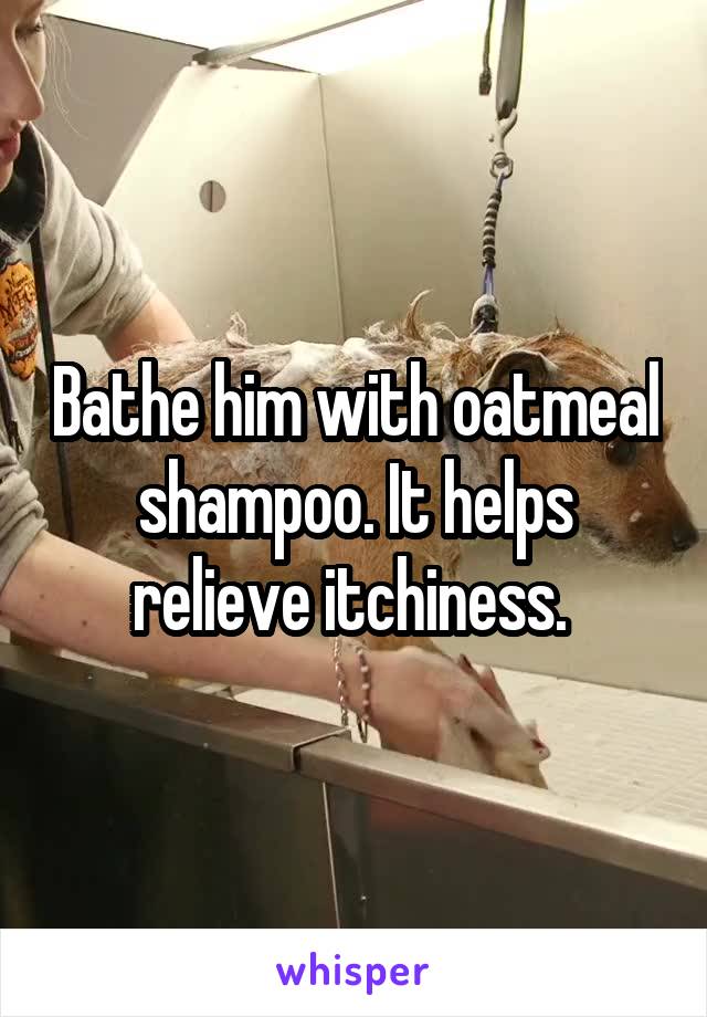 Bathe him with oatmeal shampoo. It helps relieve itchiness. 