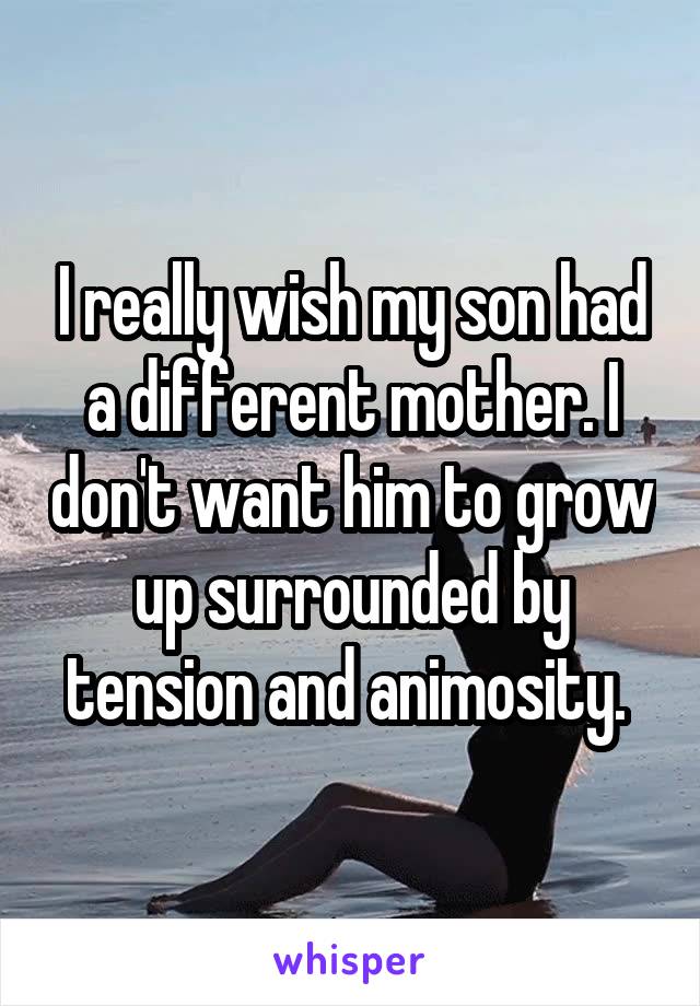 I really wish my son had a different mother. I don't want him to grow up surrounded by tension and animosity. 