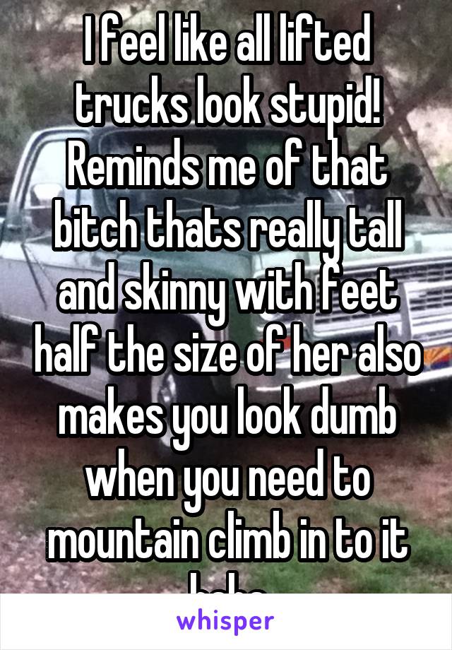 I feel like all lifted trucks look stupid! Reminds me of that bitch thats really tall and skinny with feet half the size of her also makes you look dumb when you need to mountain climb in to it haha