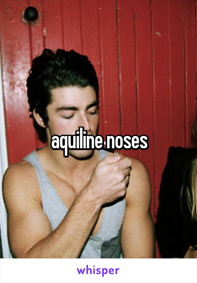 aquiline noses