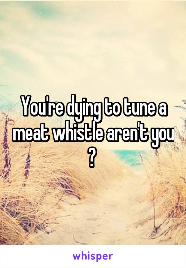 You're dying to tune a meat whistle aren't you ? 