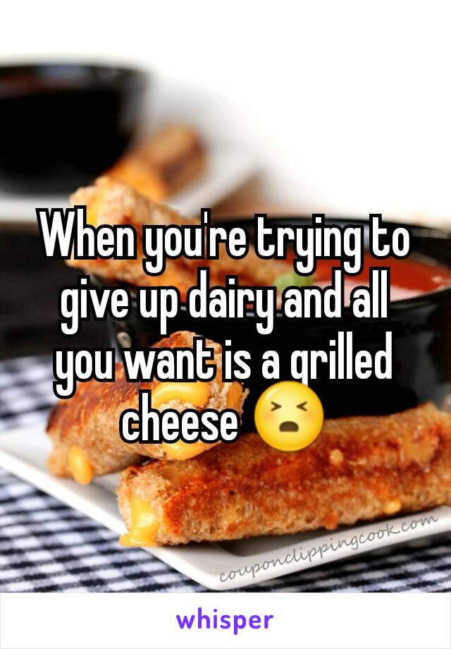When you're trying to give up dairy and all you want is a grilled cheese 😣