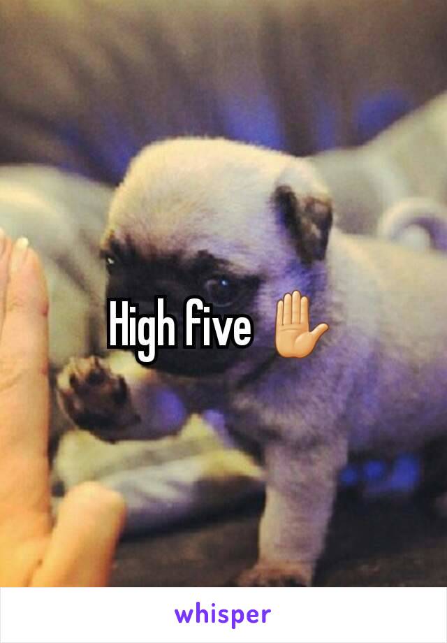 High five ✋