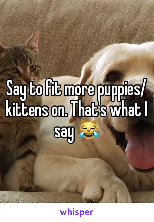 Say to fit more puppies/kittens on. That's what I say 😹