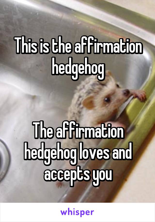 This is the affirmation hedgehog


The affirmation hedgehog loves and accepts you