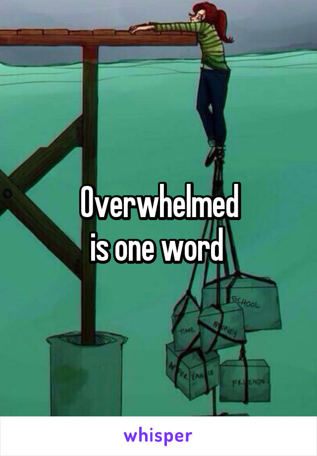 Overwhelmed
is one word 