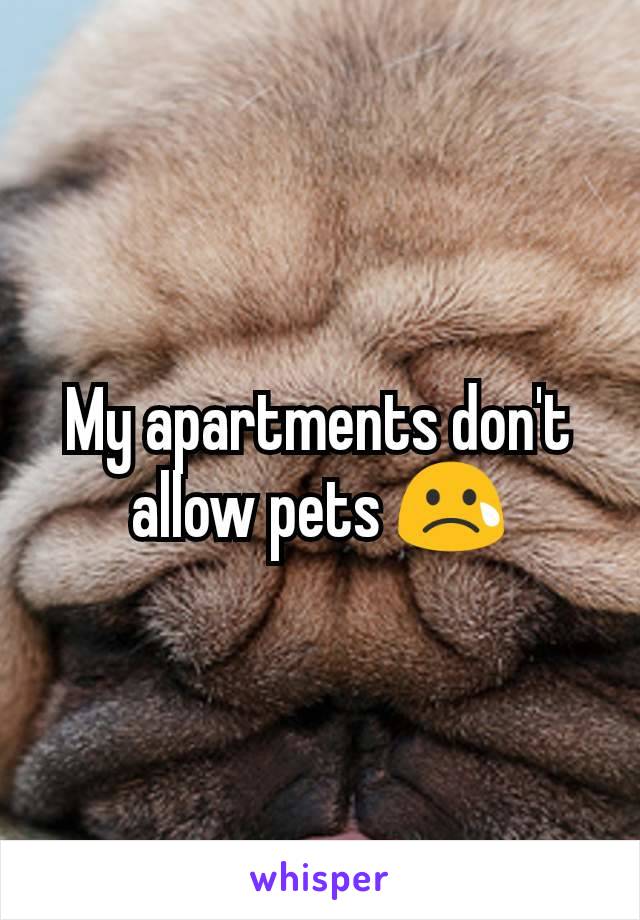 My apartments don't allow pets 😢