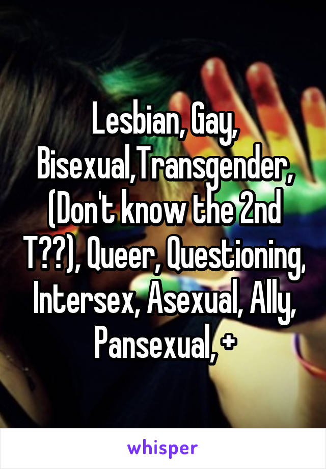 Lesbian, Gay, Bisexual,Transgender, (Don't know the 2nd T??), Queer, Questioning, Intersex, Asexual, Ally, Pansexual, +