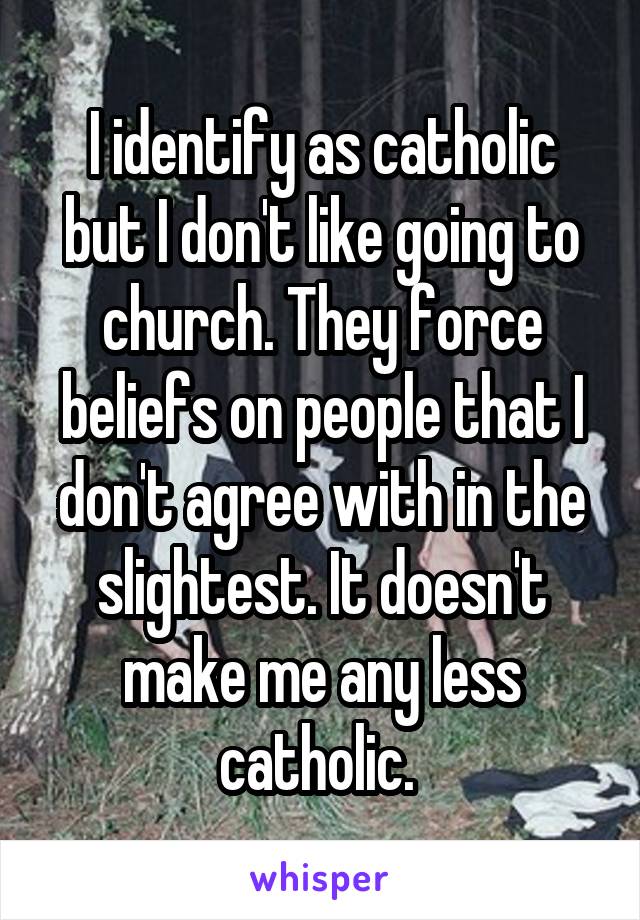 I identify as catholic but I don't like going to church. They force beliefs on people that I don't agree with in the slightest. It doesn't make me any less catholic. 