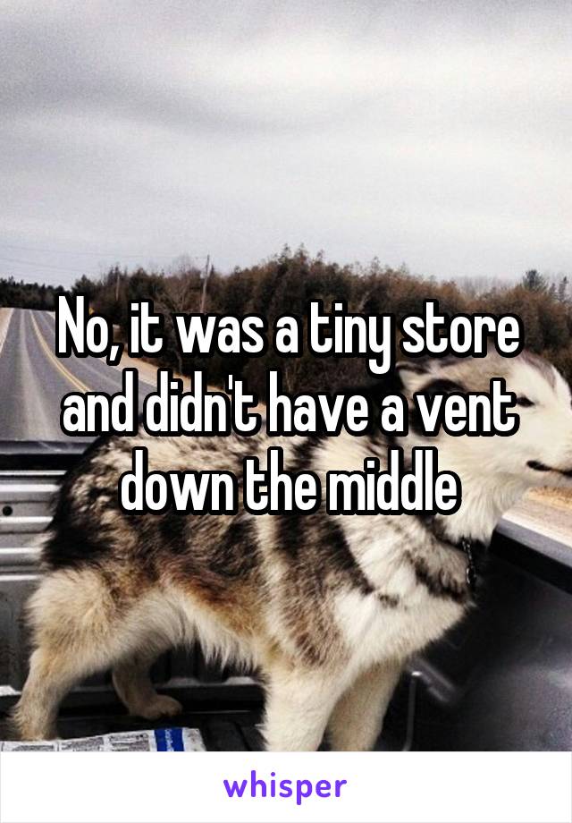 No, it was a tiny store and didn't have a vent down the middle