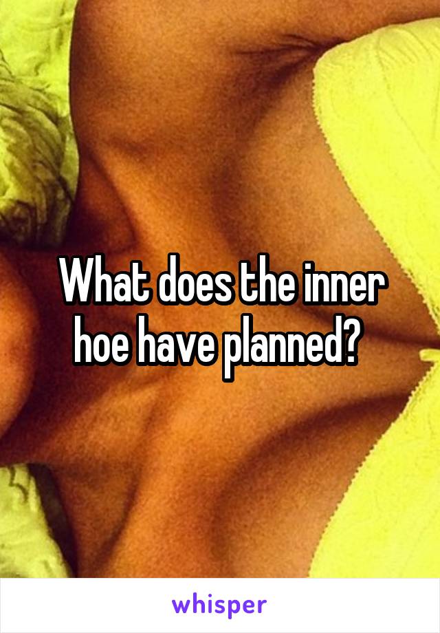What does the inner hoe have planned? 