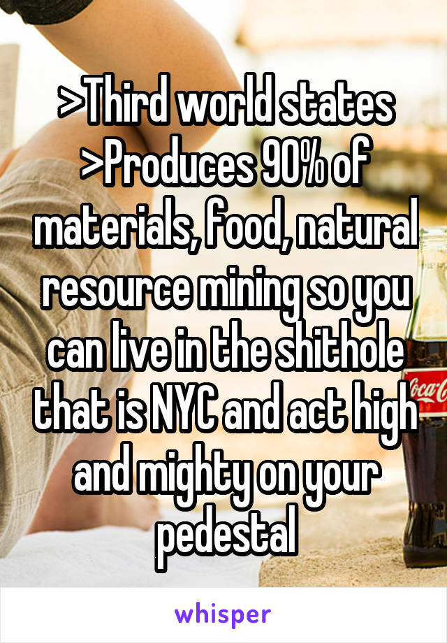 >Third world states
>Produces 90% of materials, food, natural resource mining so you can live in the shithole that is NYC and act high and mighty on your pedestal