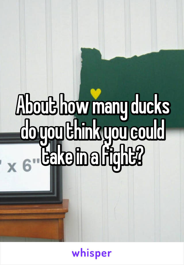 About how many ducks do you think you could take in a fight?