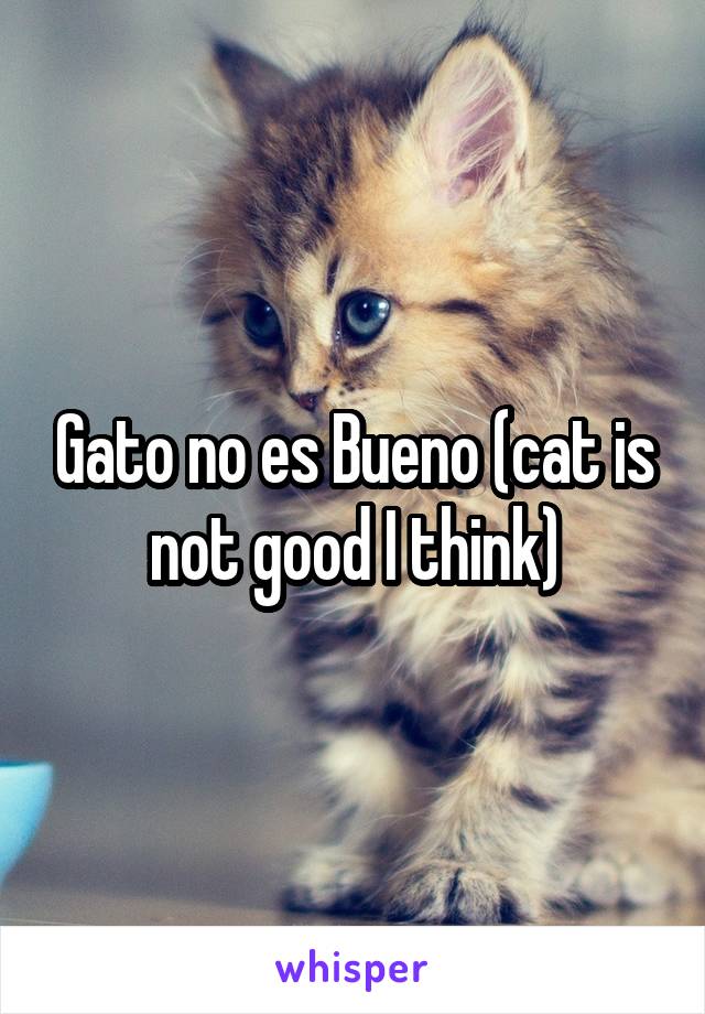 Gato no es Bueno (cat is not good I think)