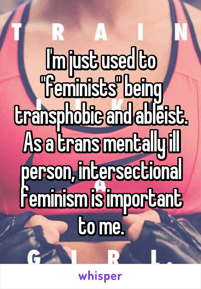 I'm just used to "feminists" being transphobic and ableist. As a trans mentally ill person, intersectional feminism is important to me.