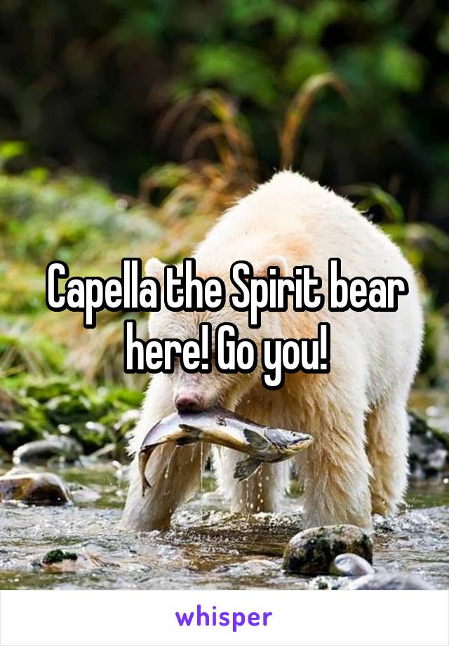 Capella the Spirit bear here! Go you!