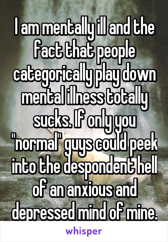 I am mentally ill and the fact that people categorically play down mental illness totally sucks. If only you "normal" guys could peek into the despondent hell of an anxious and depressed mind of mine.