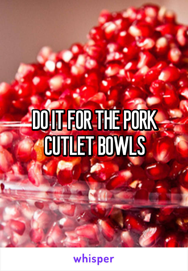 DO IT FOR THE PORK CUTLET BOWLS