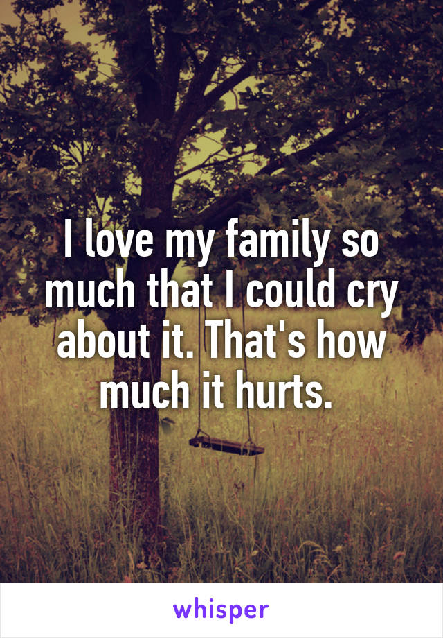 I love my family so much that I could cry about it. That's how much it hurts. 