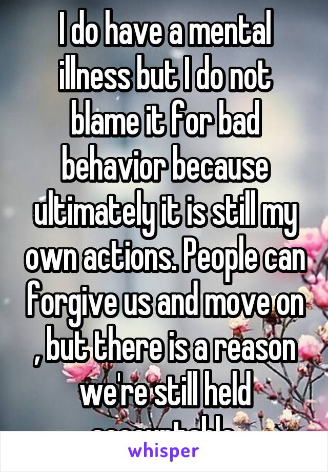 I do have a mental illness but I do not blame it for bad behavior because ultimately it is still my own actions. People can forgive us and move on , but there is a reason we're still held accountable.