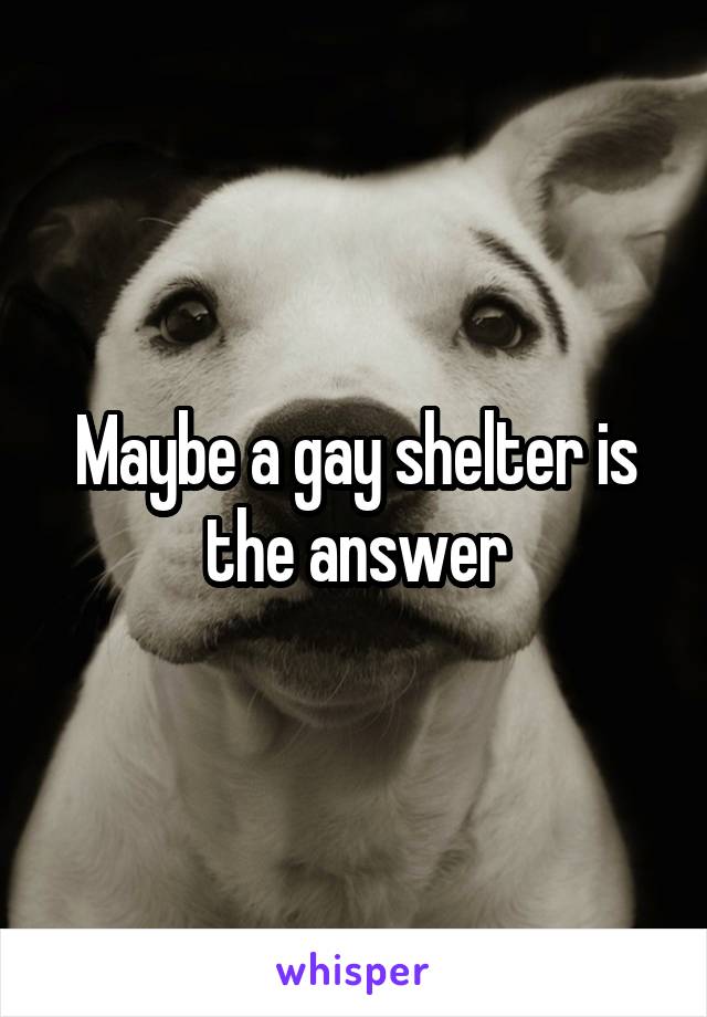 Maybe a gay shelter is the answer