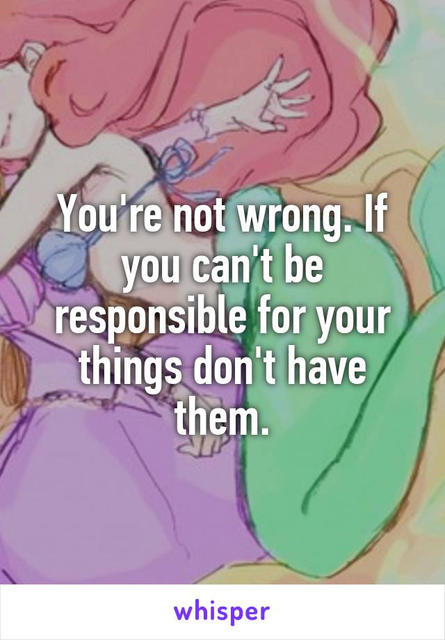 You're not wrong. If you can't be responsible for your things don't have them.