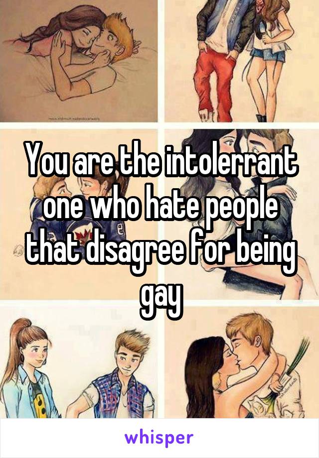 You are the intolerrant one who hate people that disagree for being gay