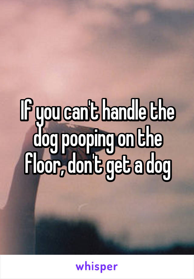 If you can't handle the dog pooping on the floor, don't get a dog