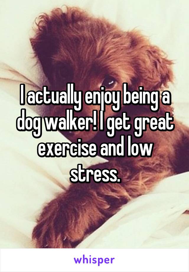I actually enjoy being a dog walker! I get great exercise and low stress.