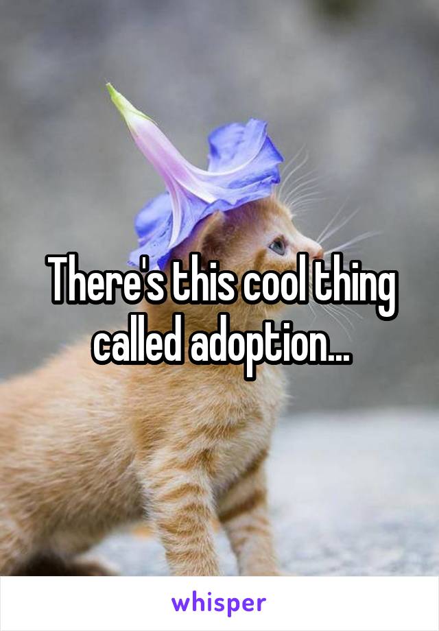 There's this cool thing called adoption...