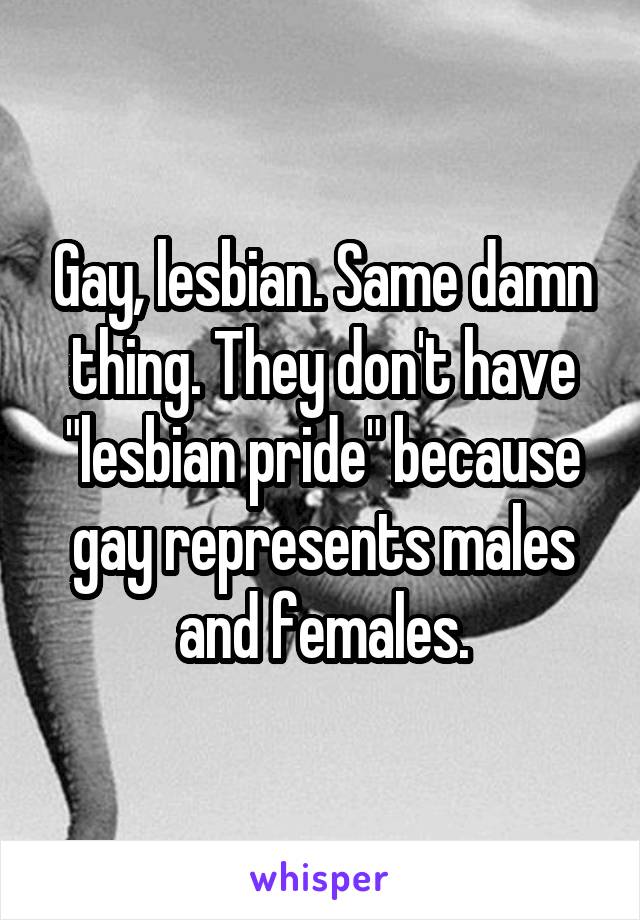 Gay, lesbian. Same damn thing. They don't have "lesbian pride" because gay represents males and females.