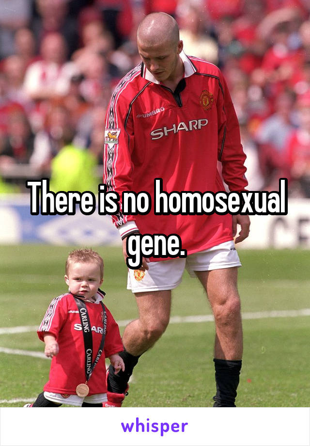 There is no homosexual gene.