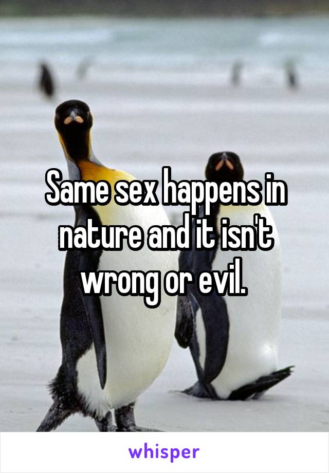 Same sex happens in nature and it isn't wrong or evil. 