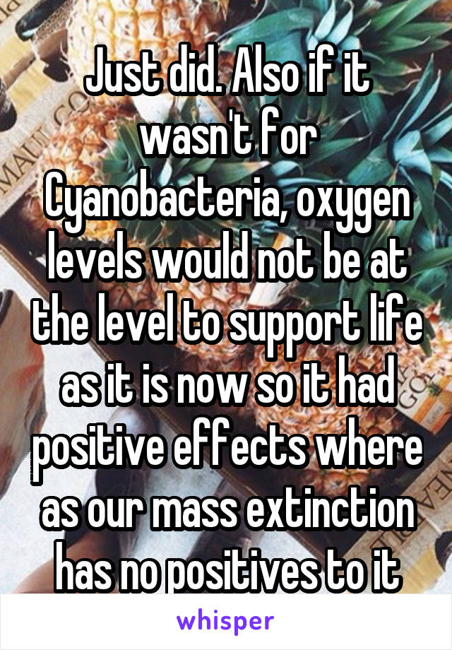 Just did. Also if it wasn't for Cyanobacteria, oxygen levels would not be at the level to support life as it is now so it had positive effects where as our mass extinction has no positives to it