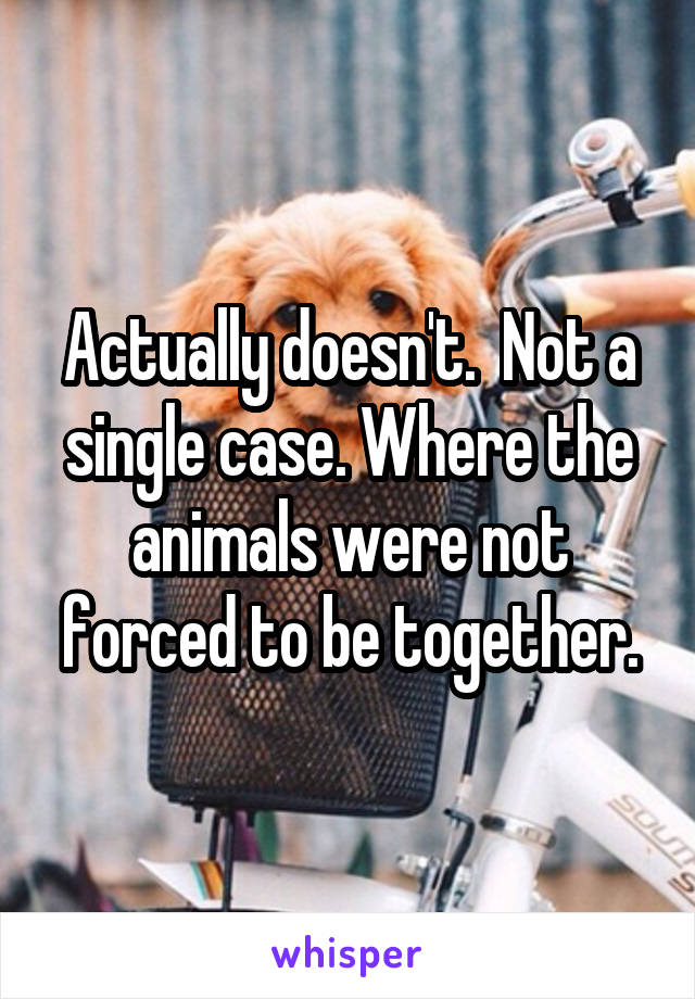 Actually doesn't.  Not a single case. Where the animals were not forced to be together.