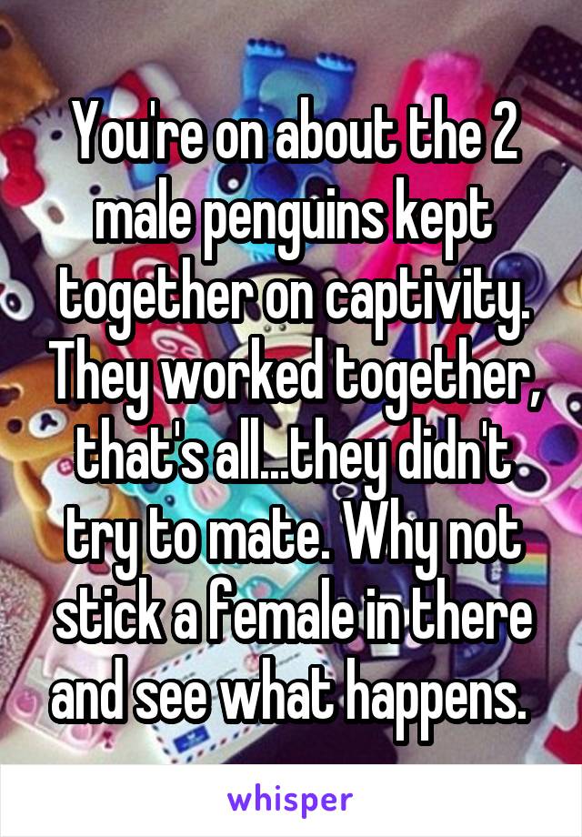 You're on about the 2 male penguins kept together on captivity. They worked together, that's all...they didn't try to mate. Why not stick a female in there and see what happens. 