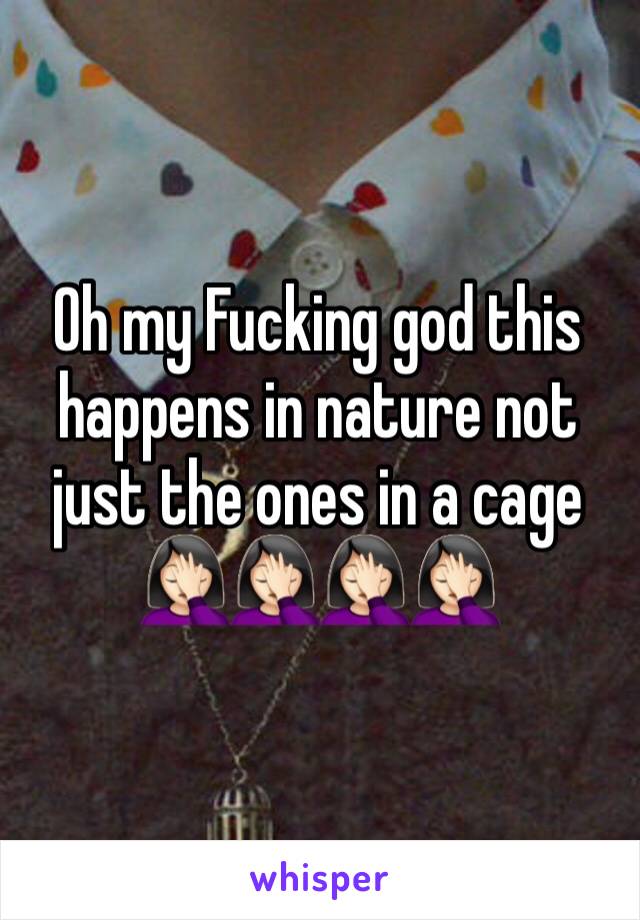 Oh my Fucking god this happens in nature not just the ones in a cage 🤦🏻‍♀️🤦🏻‍♀️🤦🏻‍♀️🤦🏻‍♀️