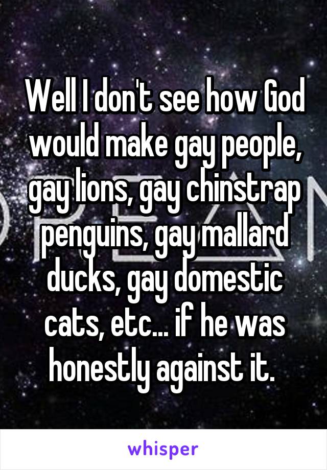 Well I don't see how God would make gay people, gay lions, gay chinstrap penguins, gay mallard ducks, gay domestic cats, etc... if he was honestly against it. 