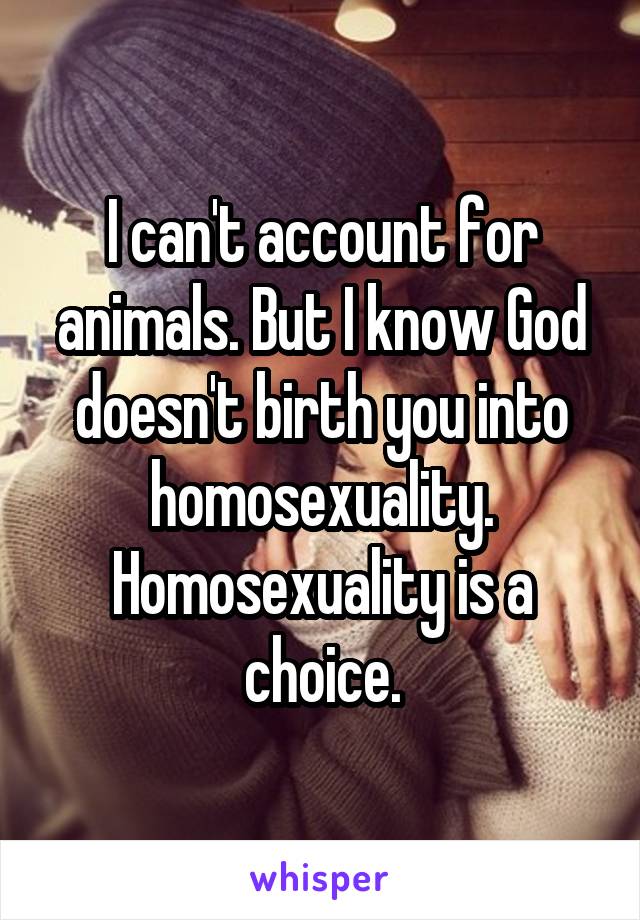 I can't account for animals. But I know God doesn't birth you into homosexuality. Homosexuality is a choice.