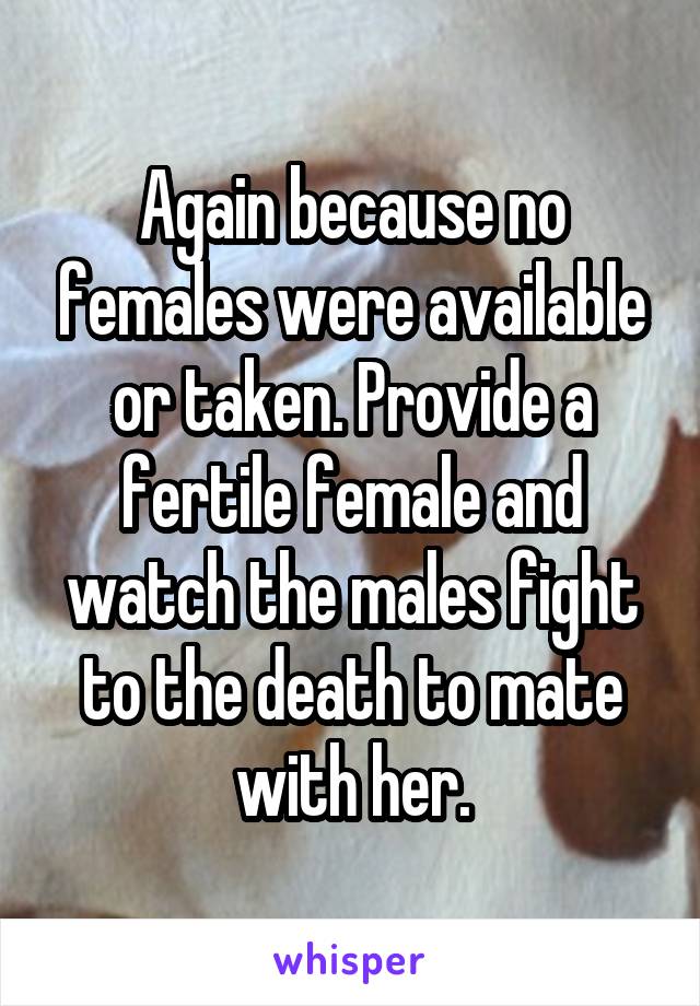 Again because no females were available or taken. Provide a fertile female and watch the males fight to the death to mate with her.