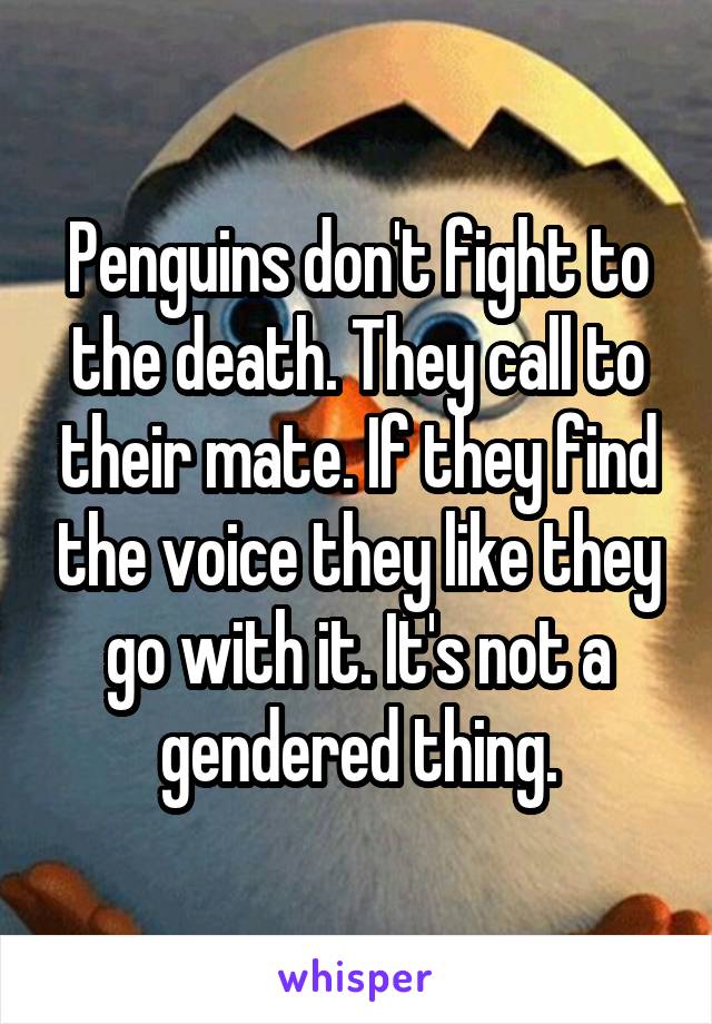 Penguins don't fight to the death. They call to their mate. If they find the voice they like they go with it. It's not a gendered thing.