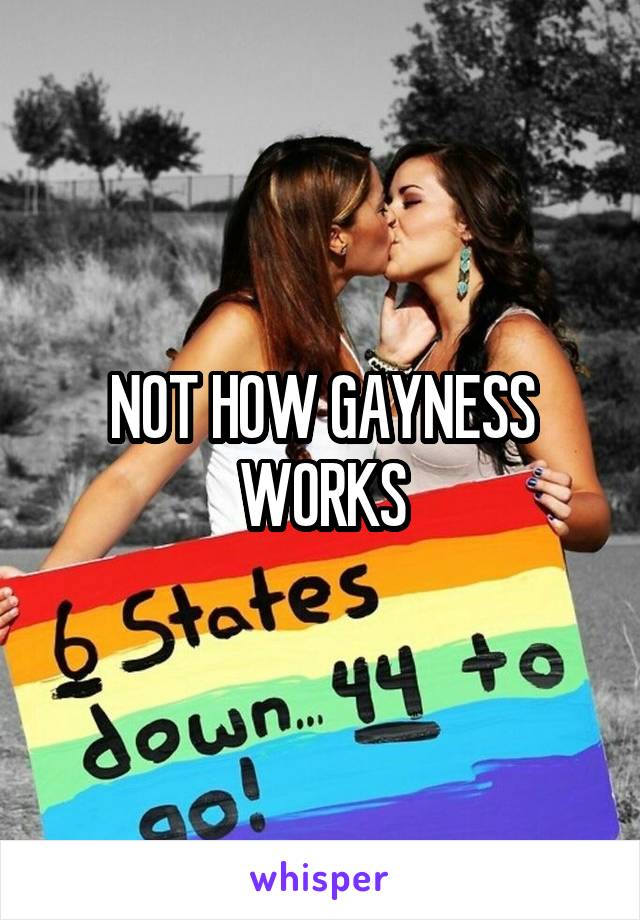 NOT HOW GAYNESS WORKS