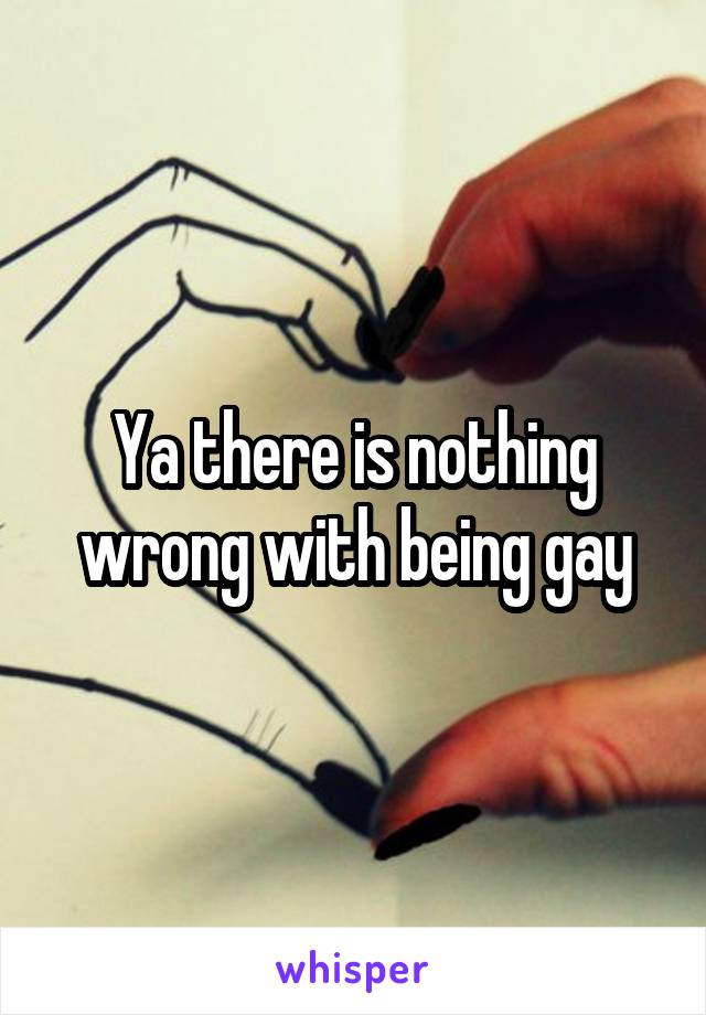 Ya there is nothing wrong with being gay