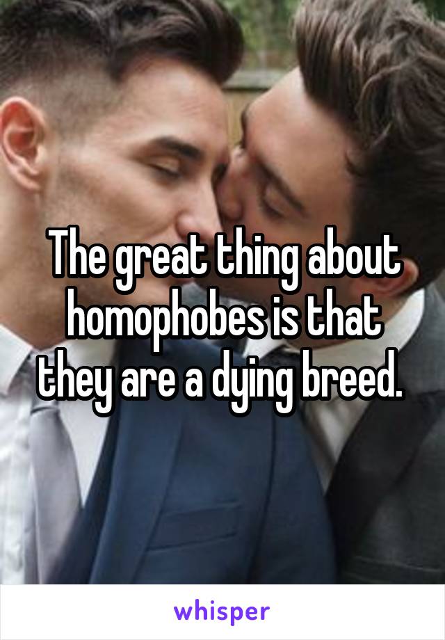 The great thing about homophobes is that they are a dying breed. 