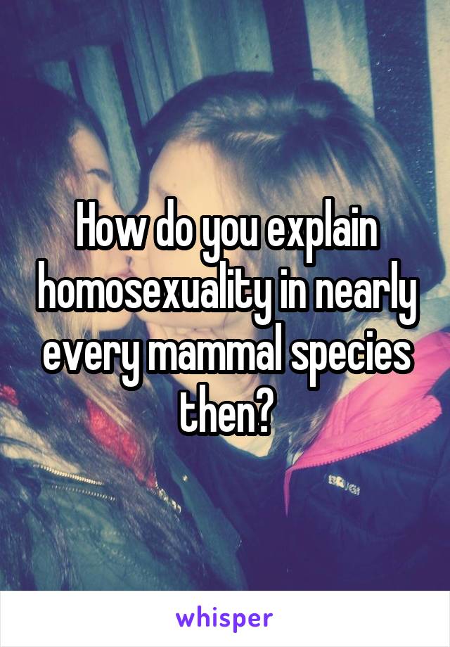 How do you explain homosexuality in nearly every mammal species then?