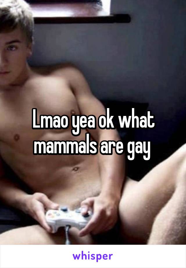 Lmao yea ok what mammals are gay 