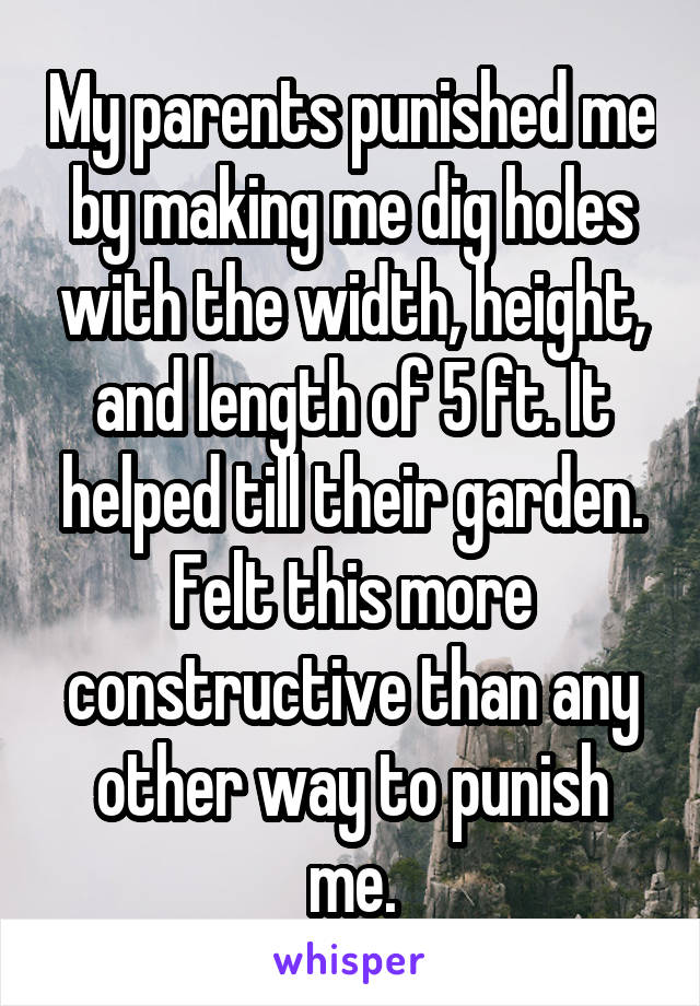 My parents punished me by making me dig holes with the width, height, and length of 5 ft. It helped till their garden. Felt this more constructive than any other way to punish me.