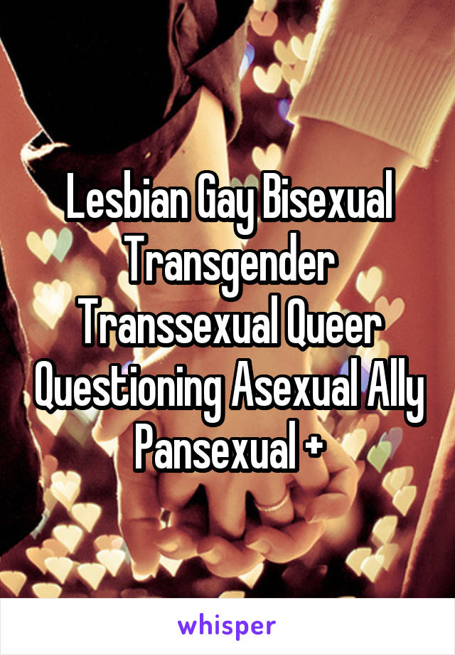 Lesbian Gay Bisexual Transgender Transsexual Queer Questioning Asexual Ally Pansexual +