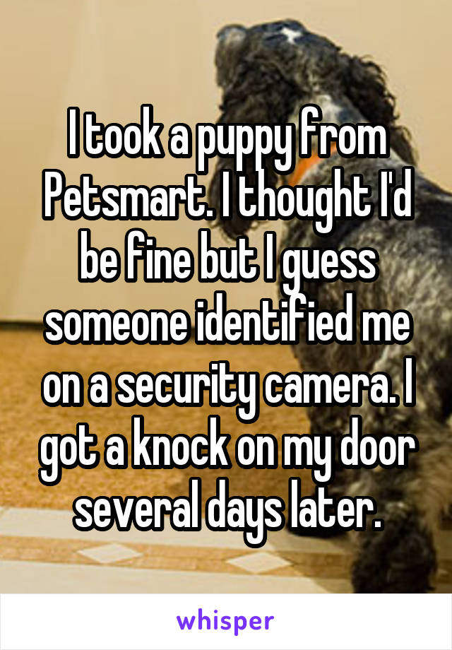 I took a puppy from Petsmart. I thought I'd be fine but I guess someone identified me on a security camera. I got a knock on my door several days later.