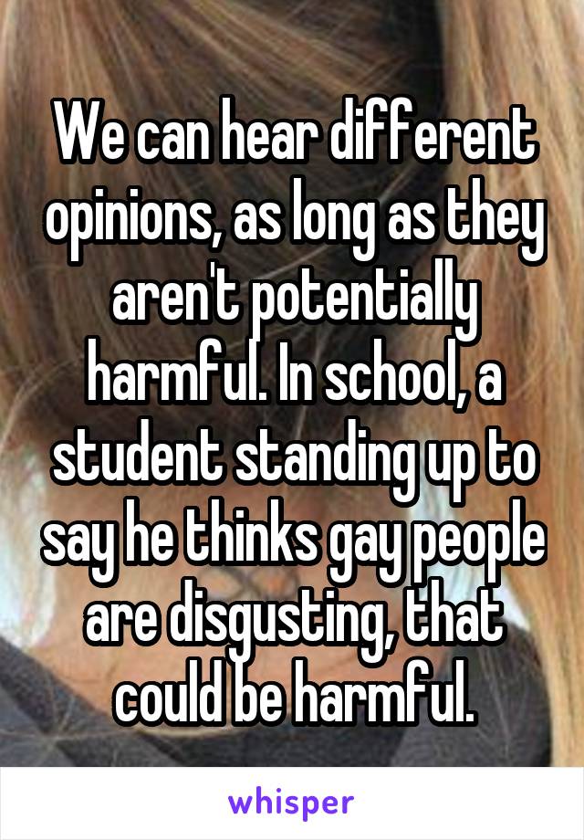 We can hear different opinions, as long as they aren't potentially harmful. In school, a student standing up to say he thinks gay people are disgusting, that could be harmful.